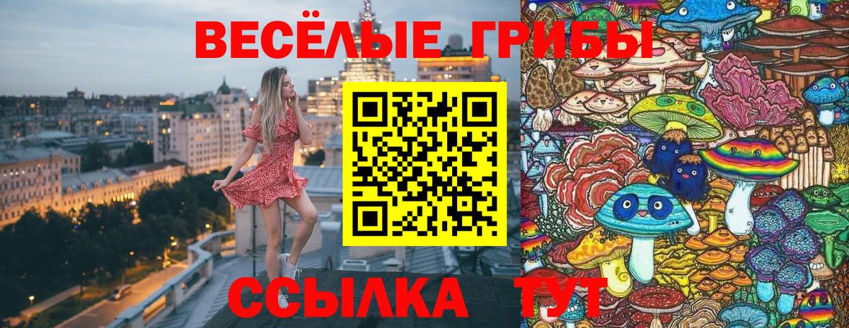 сколько стоит  Вход с VPN  Вышний Волочёк  Галлюциногенные грибы мицелий  Псилоцибиновые грибы мухоморы 